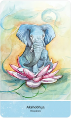 Illustration of an elephant sitting on a pink lotus flower with a colorful background, featuring the word 'Akshobhya' at the bottom.