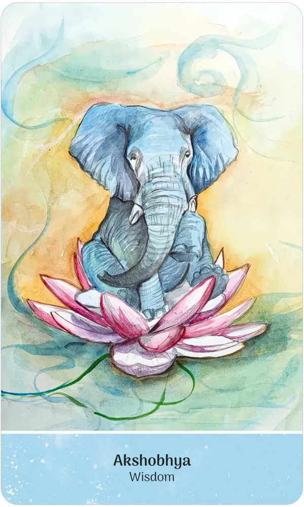 Illustration of an elephant sitting on a pink lotus flower with a colorful background, featuring the word 'Akshobhya' at the bottom.
