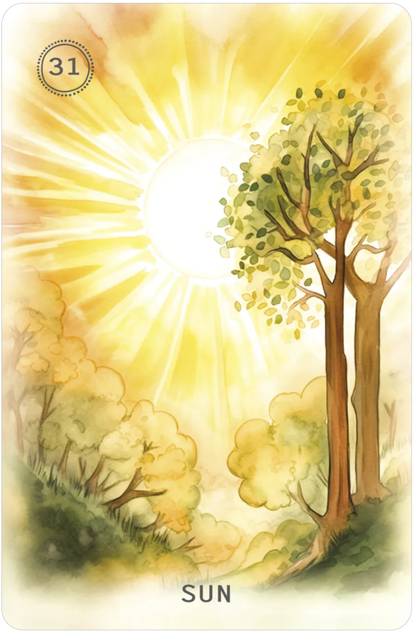 Card with a tree and sun illustration, labeled 'Sun', on a yellow background.