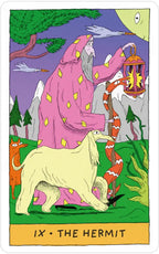 Tarot card titled 'The Hermit' with a figure in pink robes holding a lantern, surrounded by nature elements.