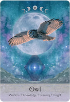 Card with an owl flying in front of a moon and three moon phases, labeled 'Owl' with attributes.