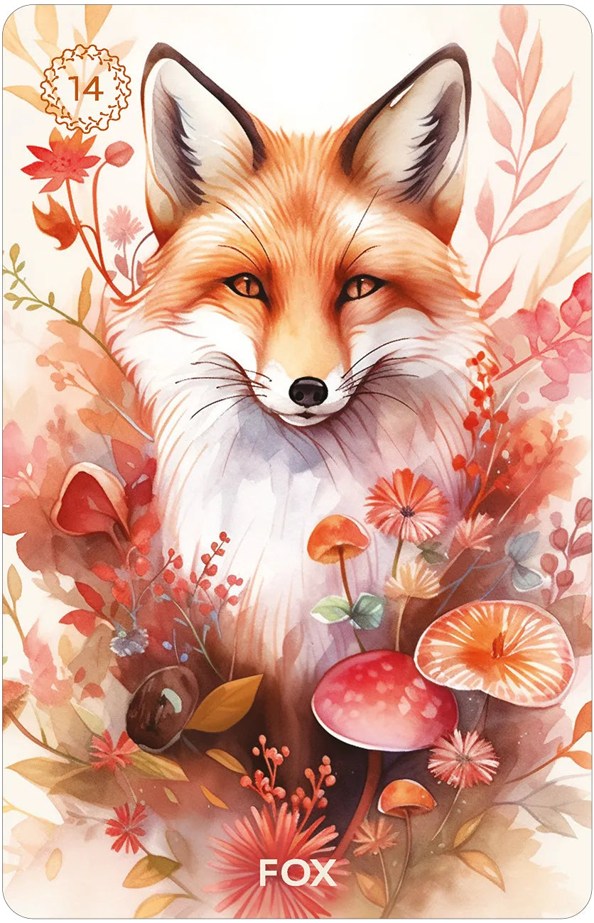 Illustration of a fox surrounded by flowers and mushrooms with 'FOX' branding.