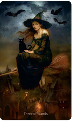 Witch with a black cat on a broomstick against a dark sky with bats and a town below.