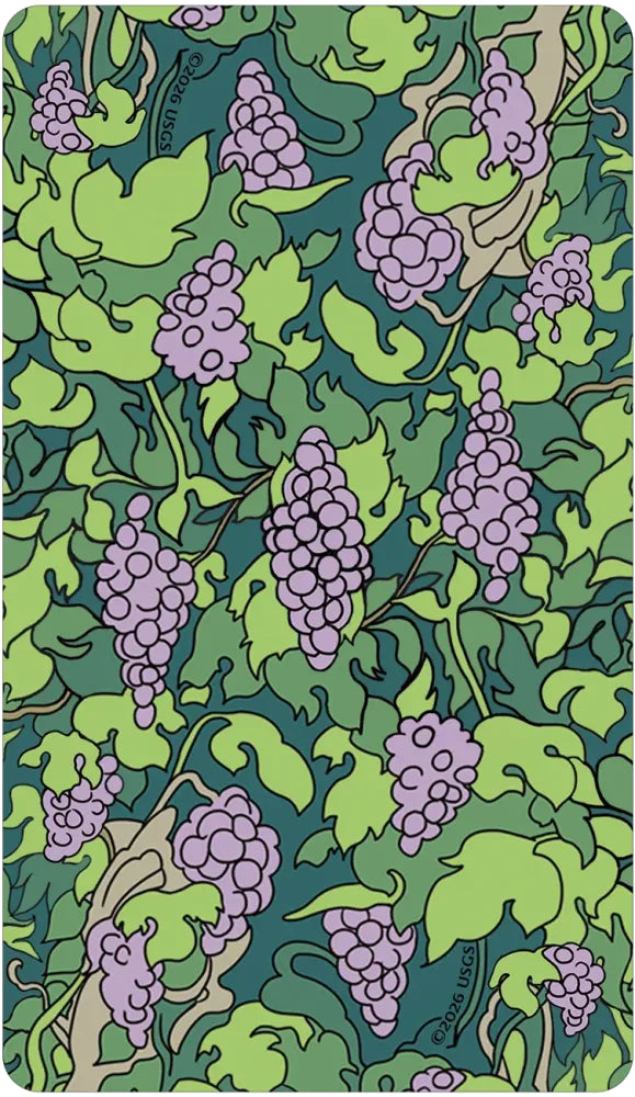 Notebook with a decorative cover featuring green leaves and purple grapes on a teal background