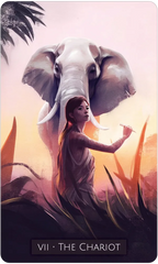 Siena Summers Tarot