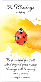 Divine Butterfly Messenger Deck & Book Set