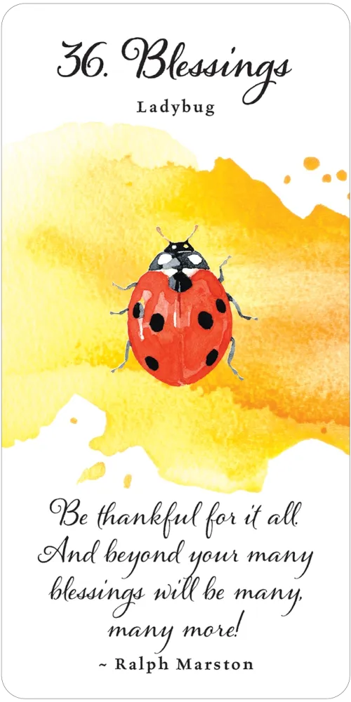 Divine Butterfly Messenger Deck & Book Set