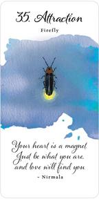 Divine Butterfly Messenger Deck & Book Set