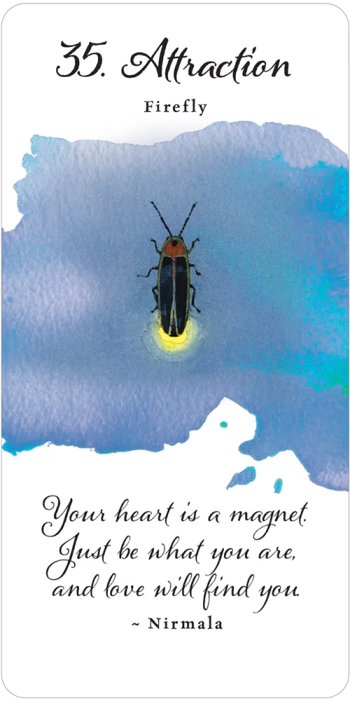 Divine Butterfly Messenger Deck & Book Set