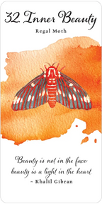 Divine Butterfly Messenger Deck & Book Set