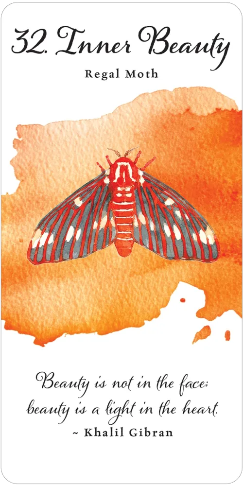 Divine Butterfly Messenger Deck & Book Set