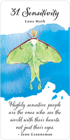 Divine Butterfly Messenger Deck & Book Set