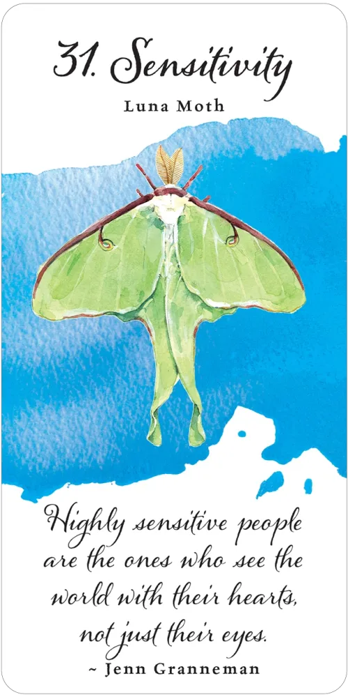 Divine Butterfly Messenger Deck & Book Set