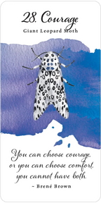 Divine Butterfly Messenger Deck & Book Set