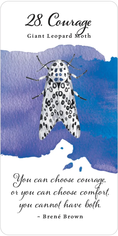 Divine Butterfly Messenger Deck & Book Set