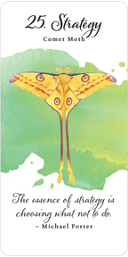 Divine Butterfly Messenger Deck & Book Set