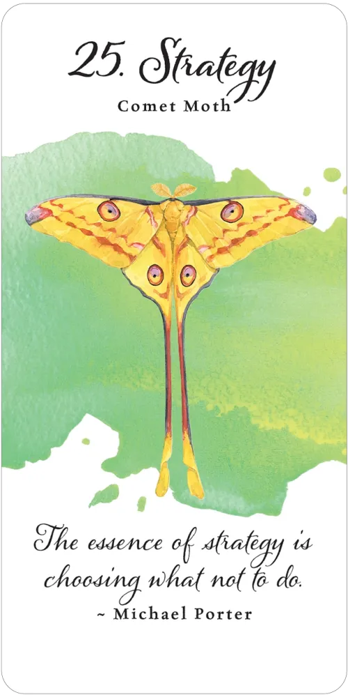 Divine Butterfly Messenger Deck & Book Set