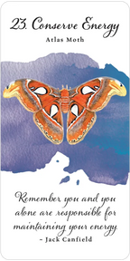 Divine Butterfly Messenger Deck & Book Set
