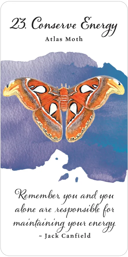 Divine Butterfly Messenger Deck & Book Set
