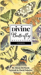 Divine Butterfly Messenger Deck & Book Set