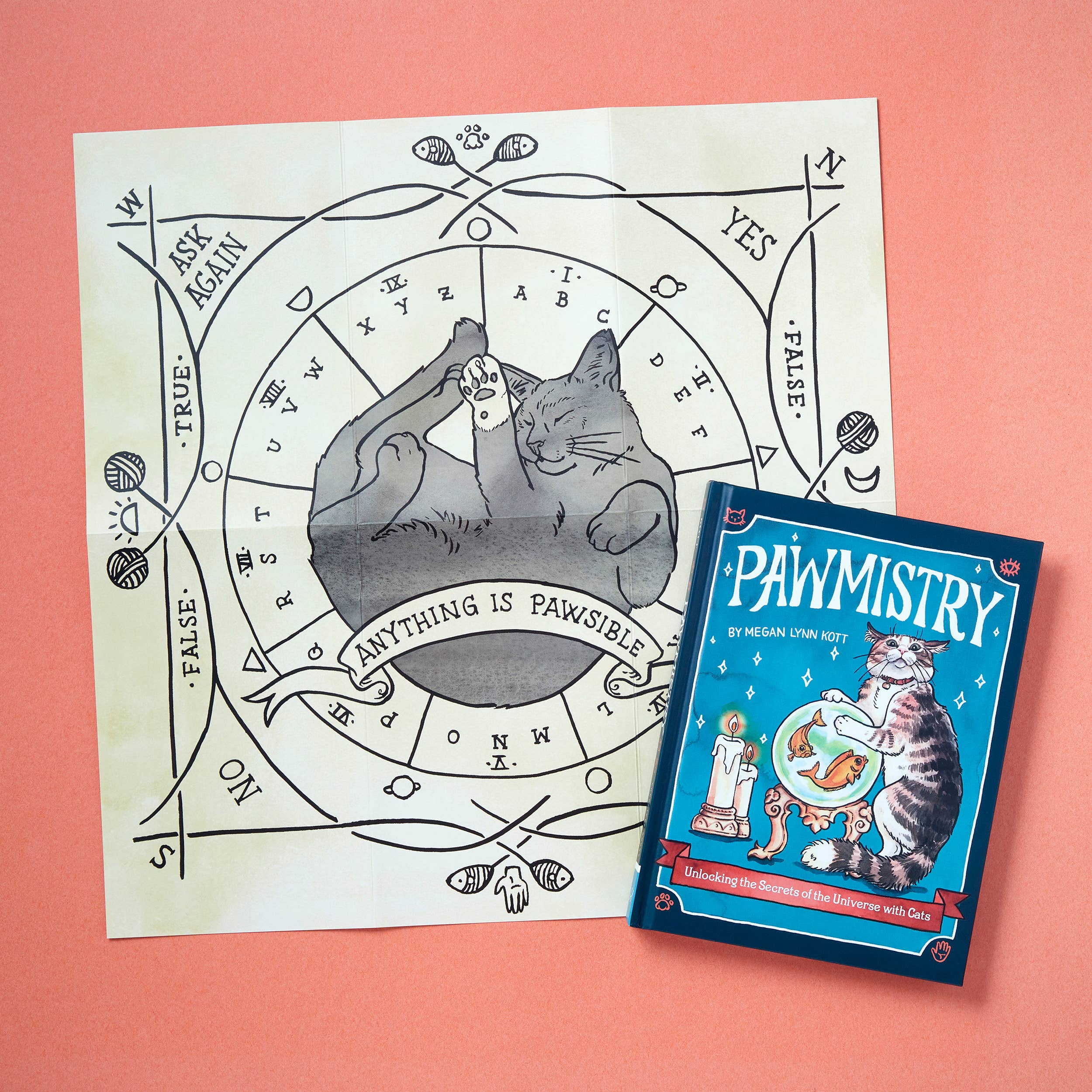 Cat-themed book and poster on a pink background