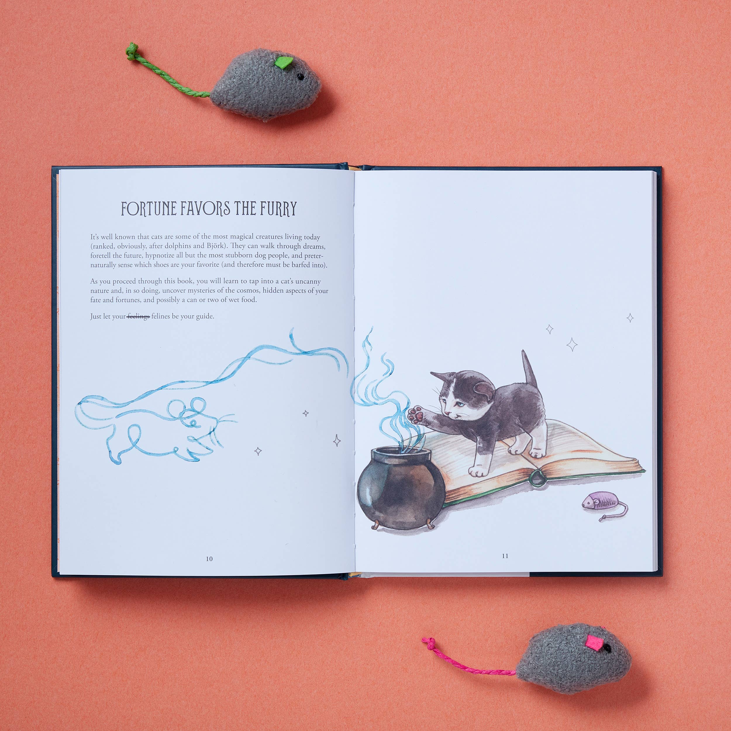 Open book with illustrations of a cat and mouse on a pink background