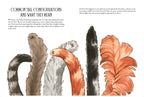 Illustration of various tail configurations with text explaining common tail movements and meanings.