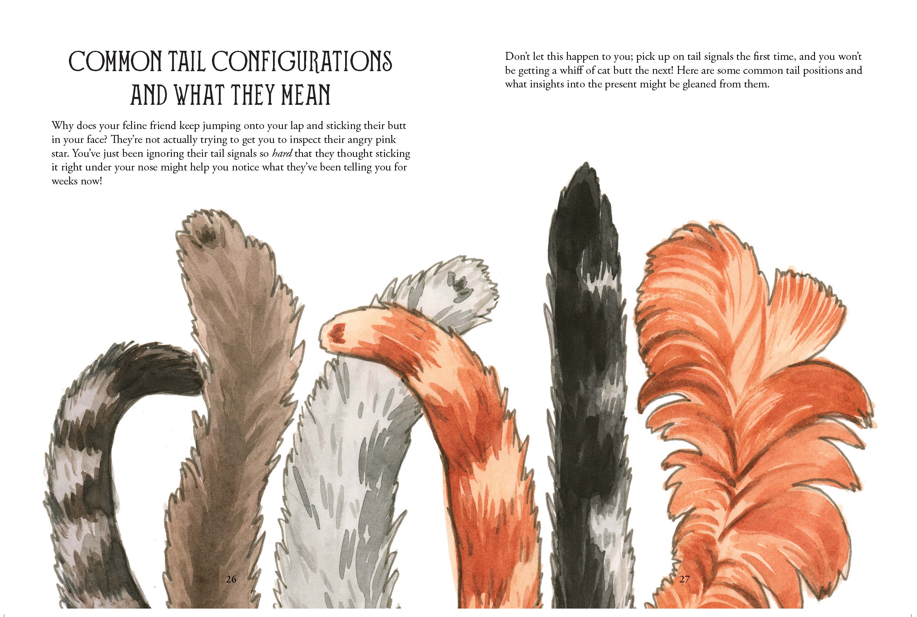 Illustration of various tail configurations with text explaining common tail movements and meanings.