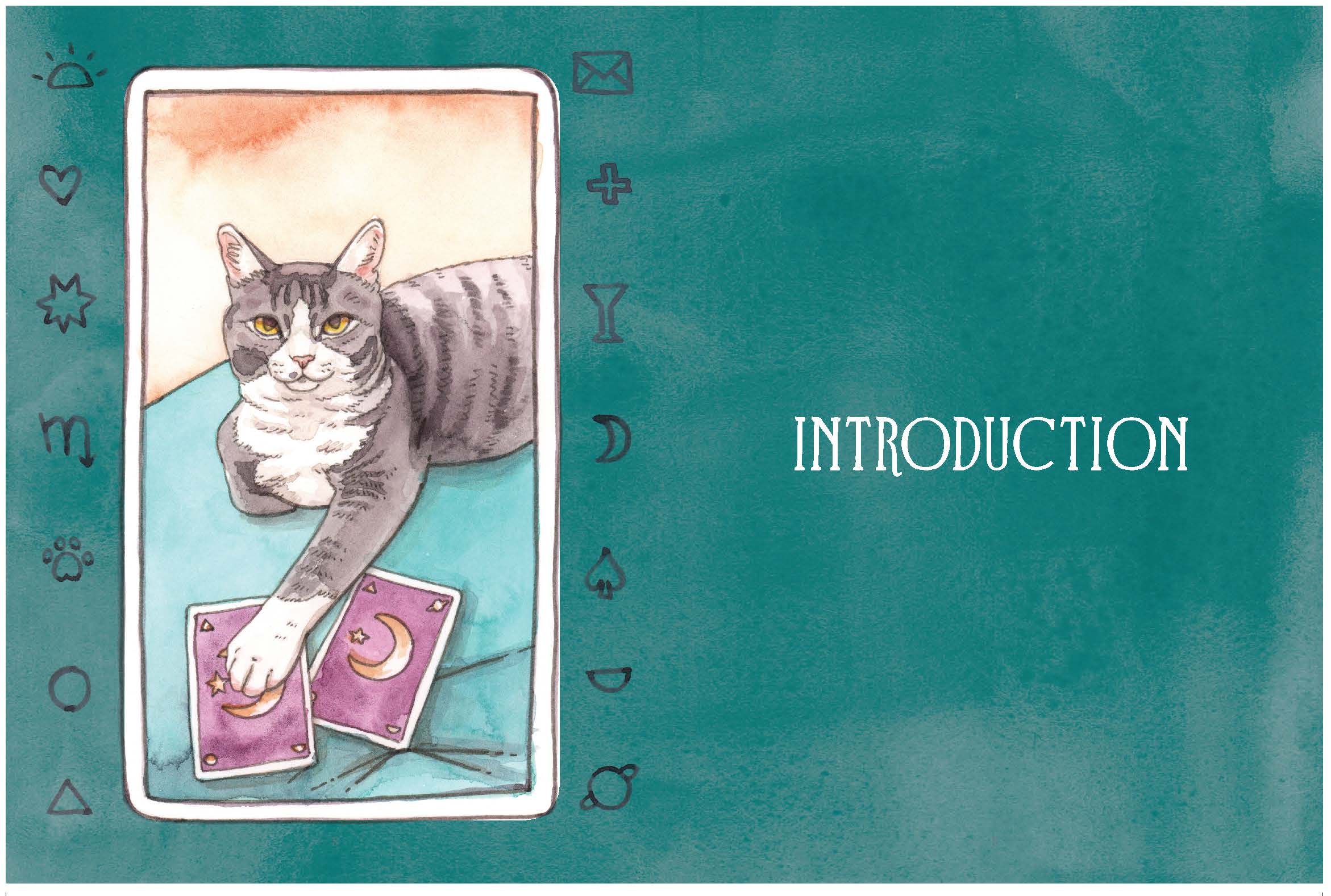 Illustration of a cat with tarot cards on a teal background with 'INTRODUCTION' text.
