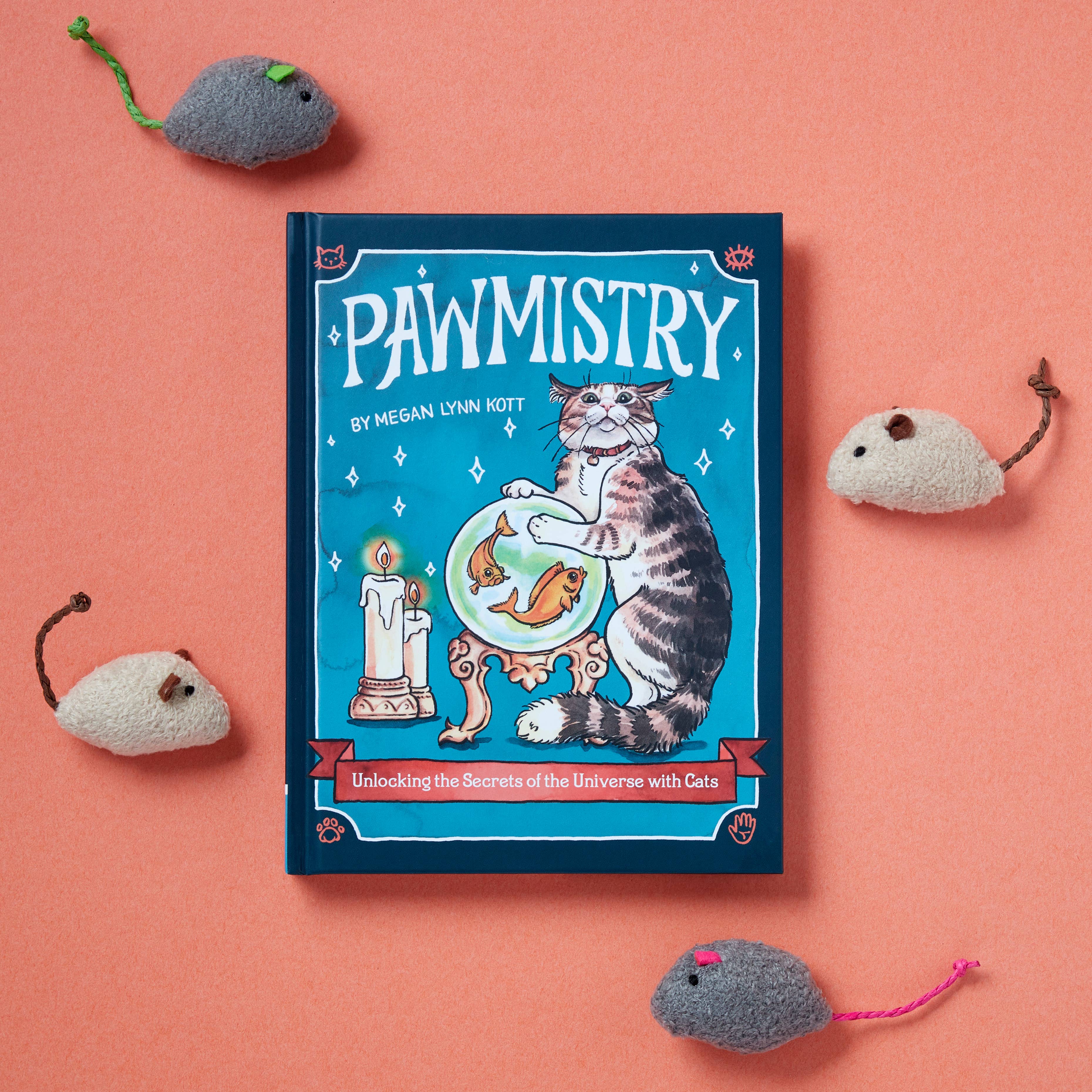 Book titled 'Pawmistry' by Megan Lynn Kott on a pink background with cat-themed toys.