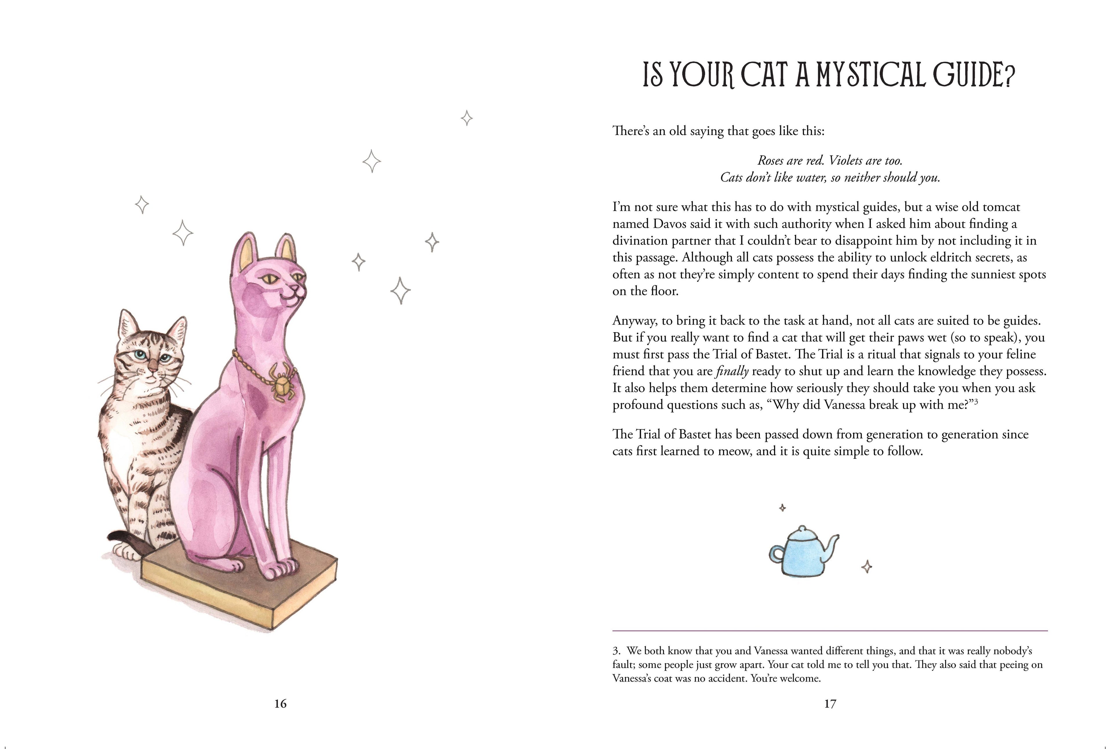 Illustration of two cats, one pink and one tabby, on a book with text about cats and mysticism.
