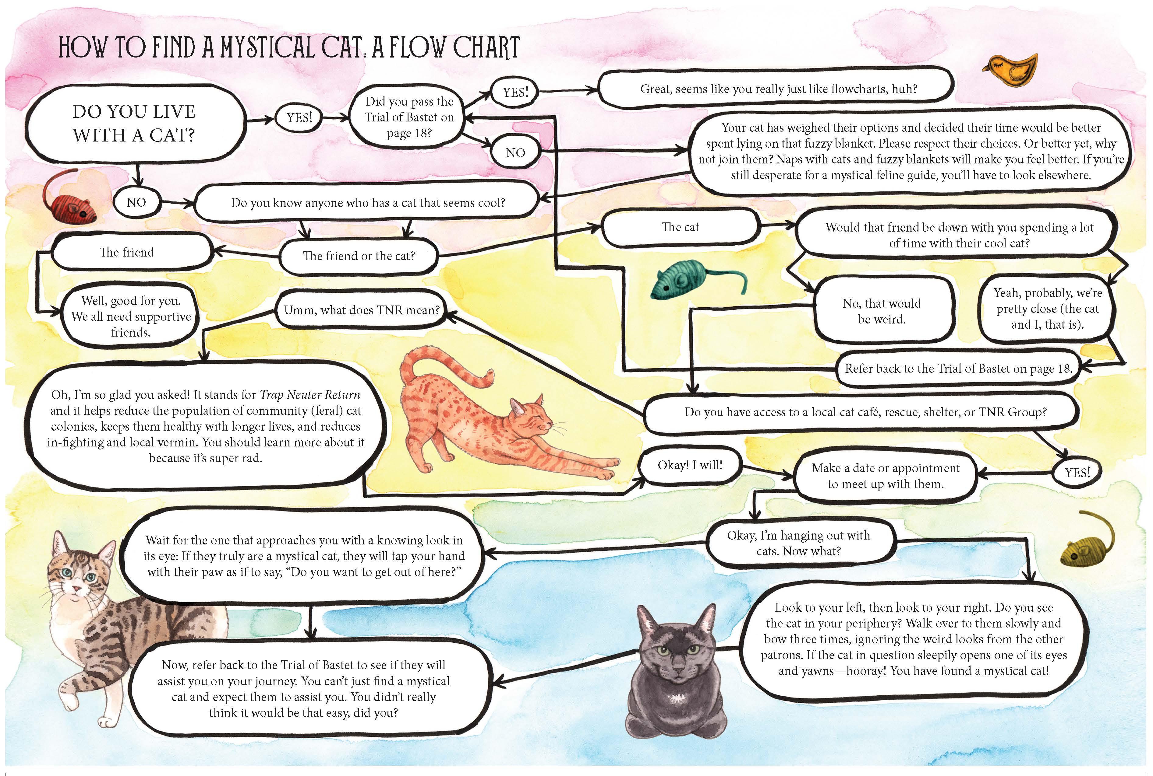 Flow chart titled 'How to Find a Mystical Cat' with various questions and responses.