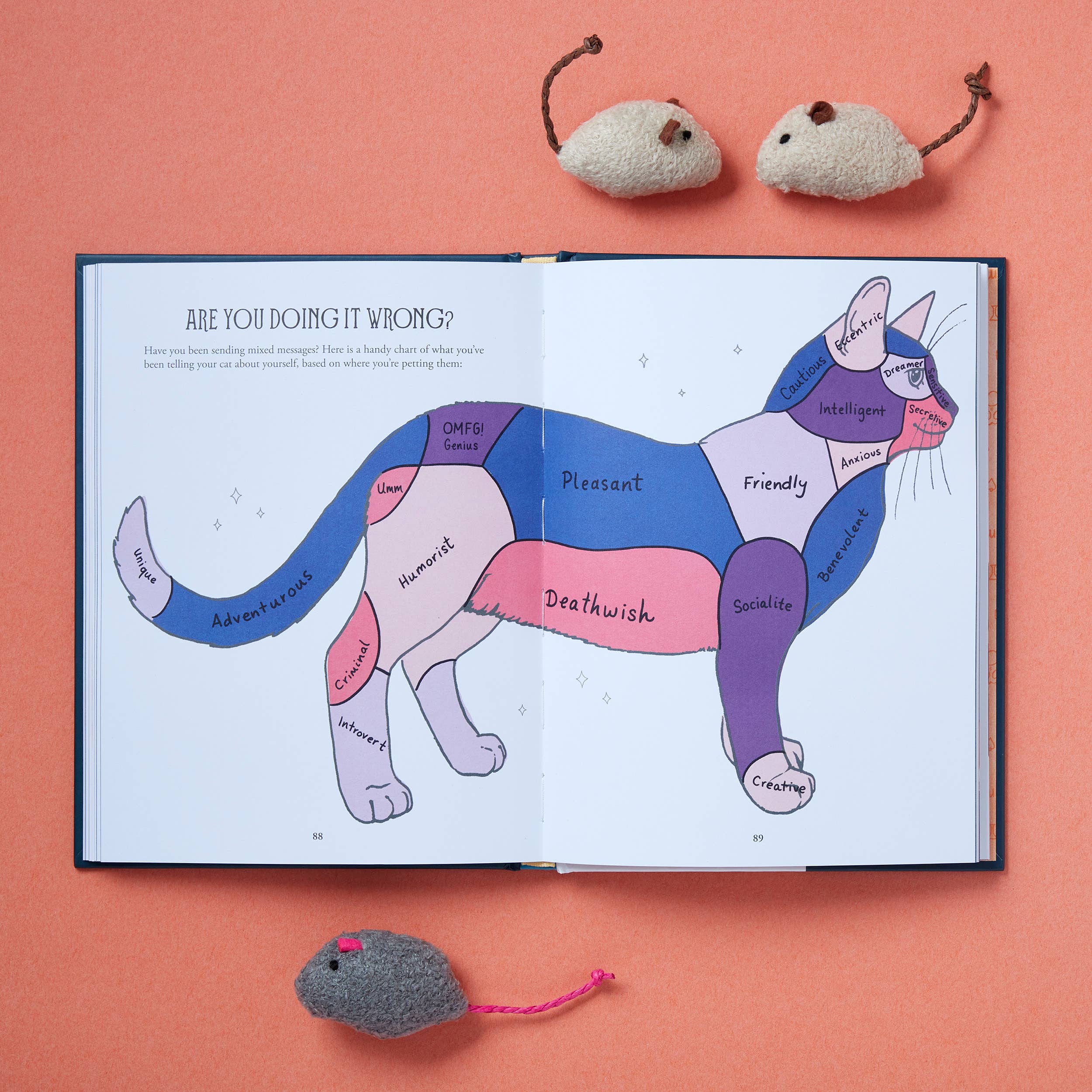 Open book with a colorful cat illustration and text on a pink background, surrounded by small mouse toys.