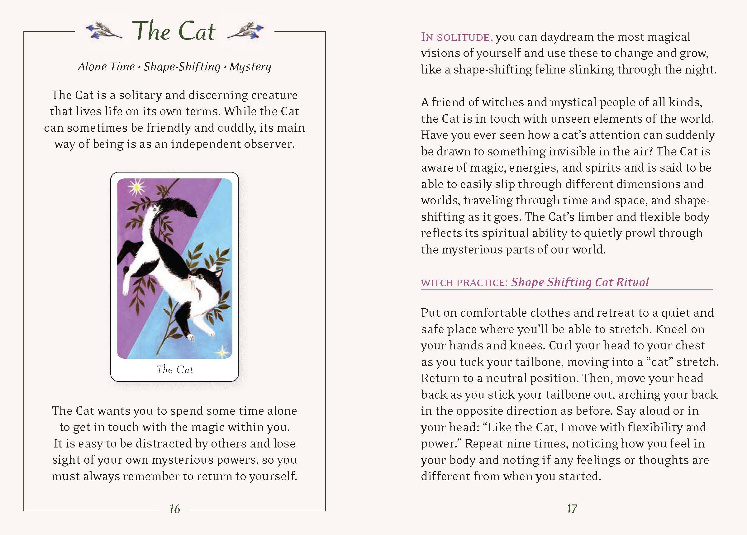 Page from a book or guide featuring an illustration of a cat and text about the Cat card.