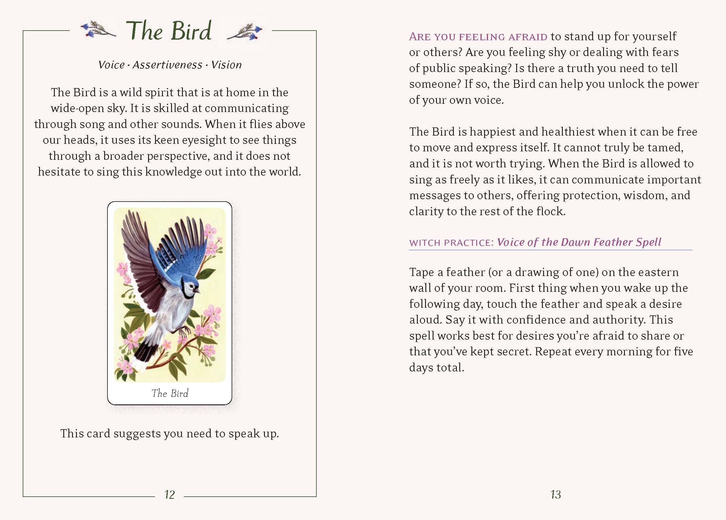 Page from a book or guide featuring an illustration of a bird and text about assertiveness and vision.