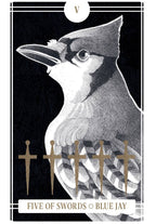 Illustration of a blue jay with tarot card design elements on a black background