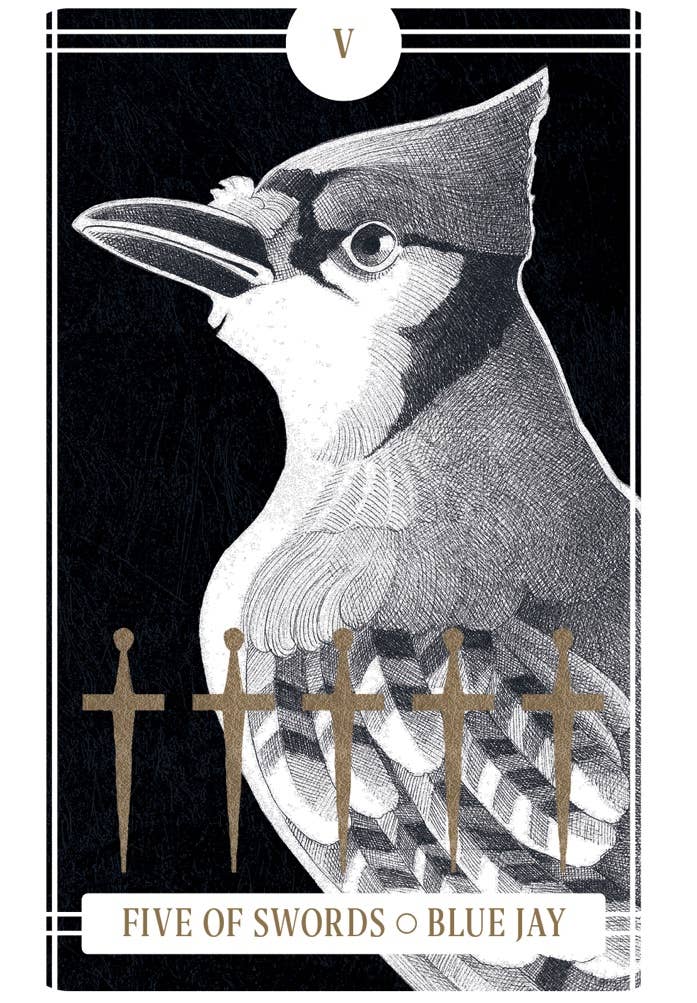 Illustration of a blue jay with tarot card design elements on a black background