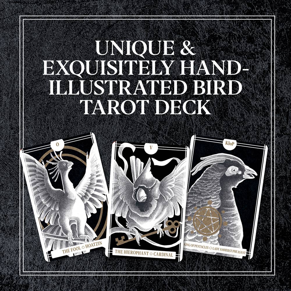 Bird-themed tarot cards with text on a black background