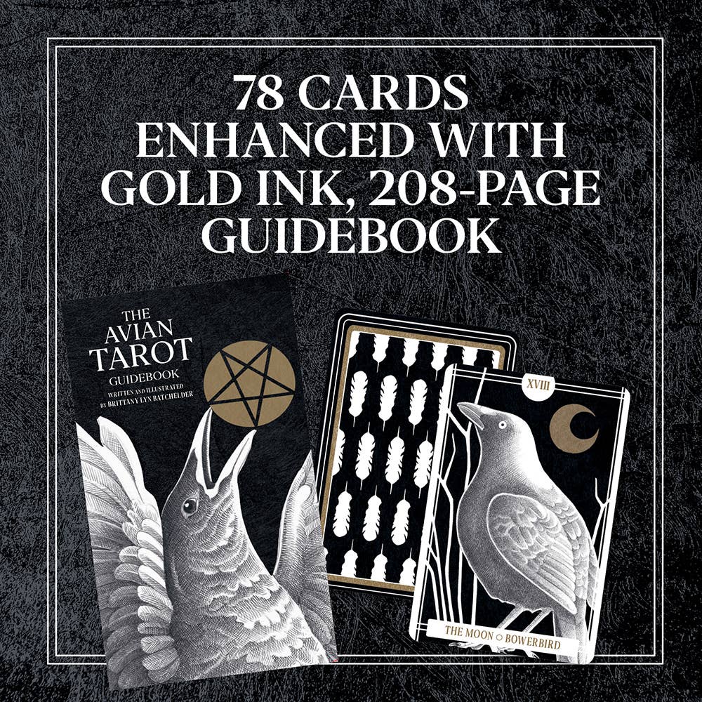 Avian Tarot cards with gold ink and 208-page guidebook on a black background