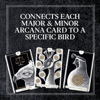 Three tarot cards with bird illustrations and text on a dark background