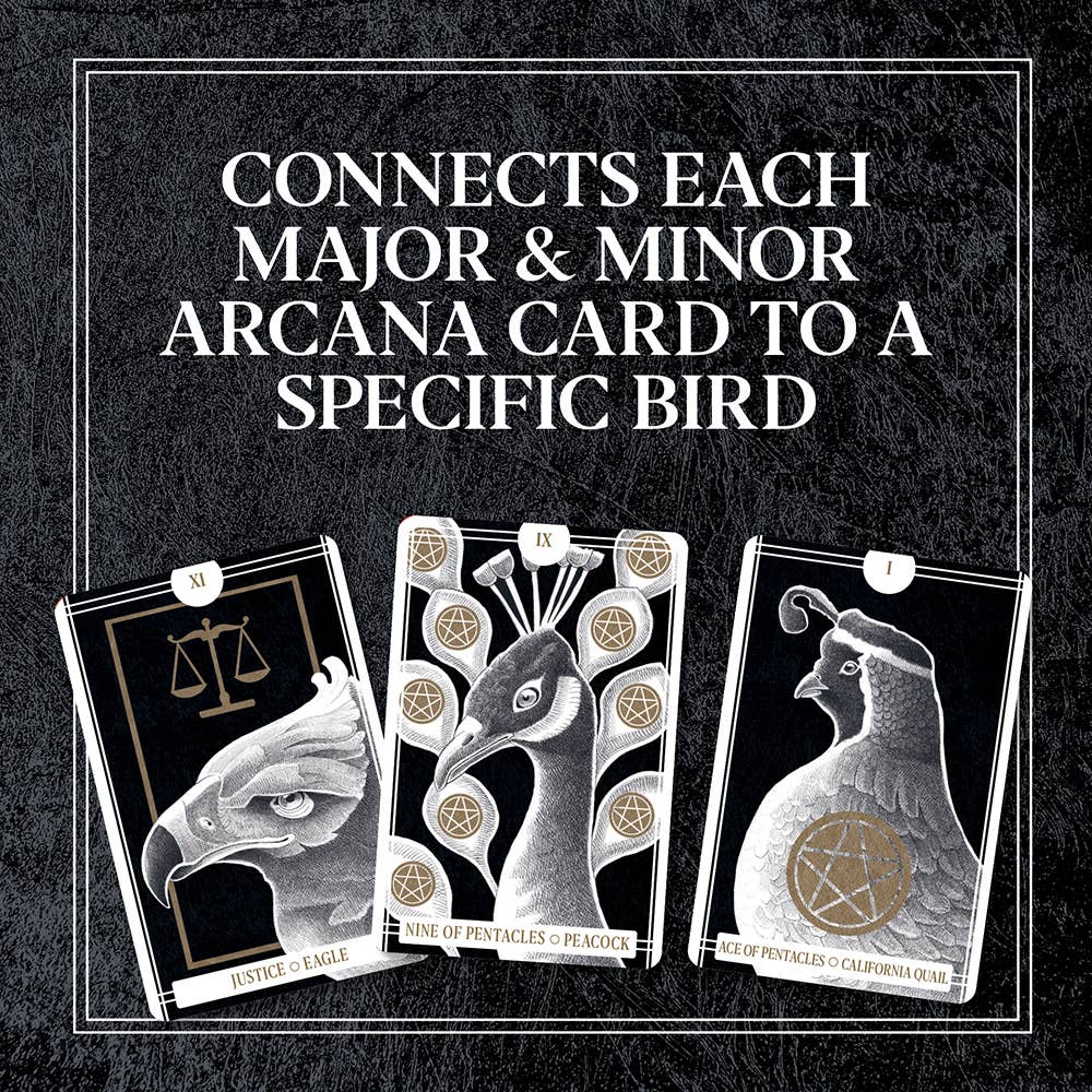 Three tarot cards with bird illustrations and text on a dark background