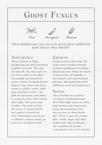 Informational card about ghost fungus with text and illustrations.