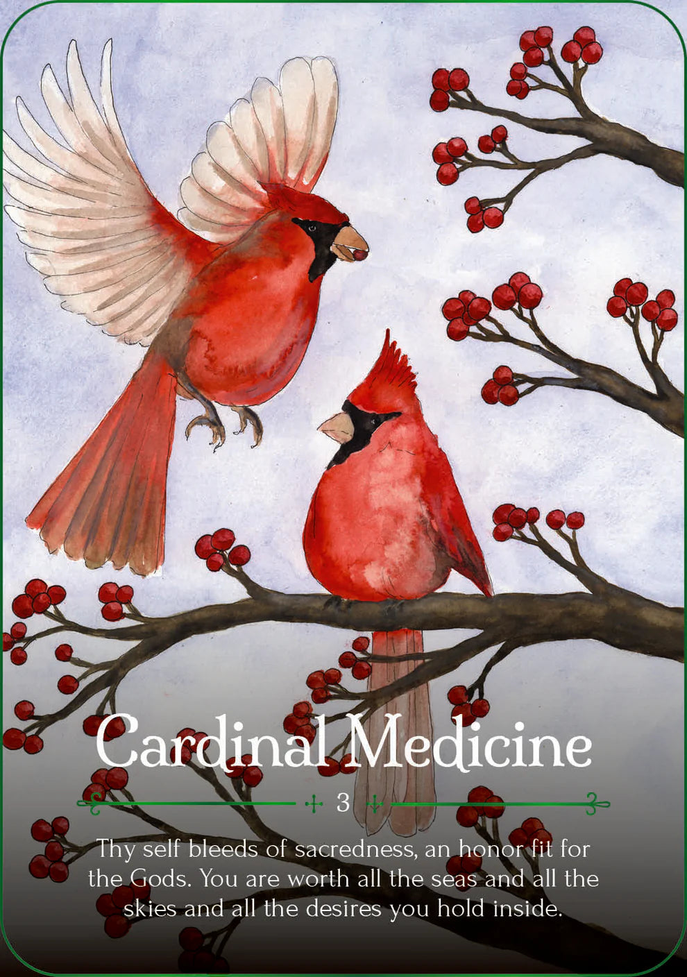 Two cardinals on a branch with berries and text 'Cardinal Medicine' on a light gray background.