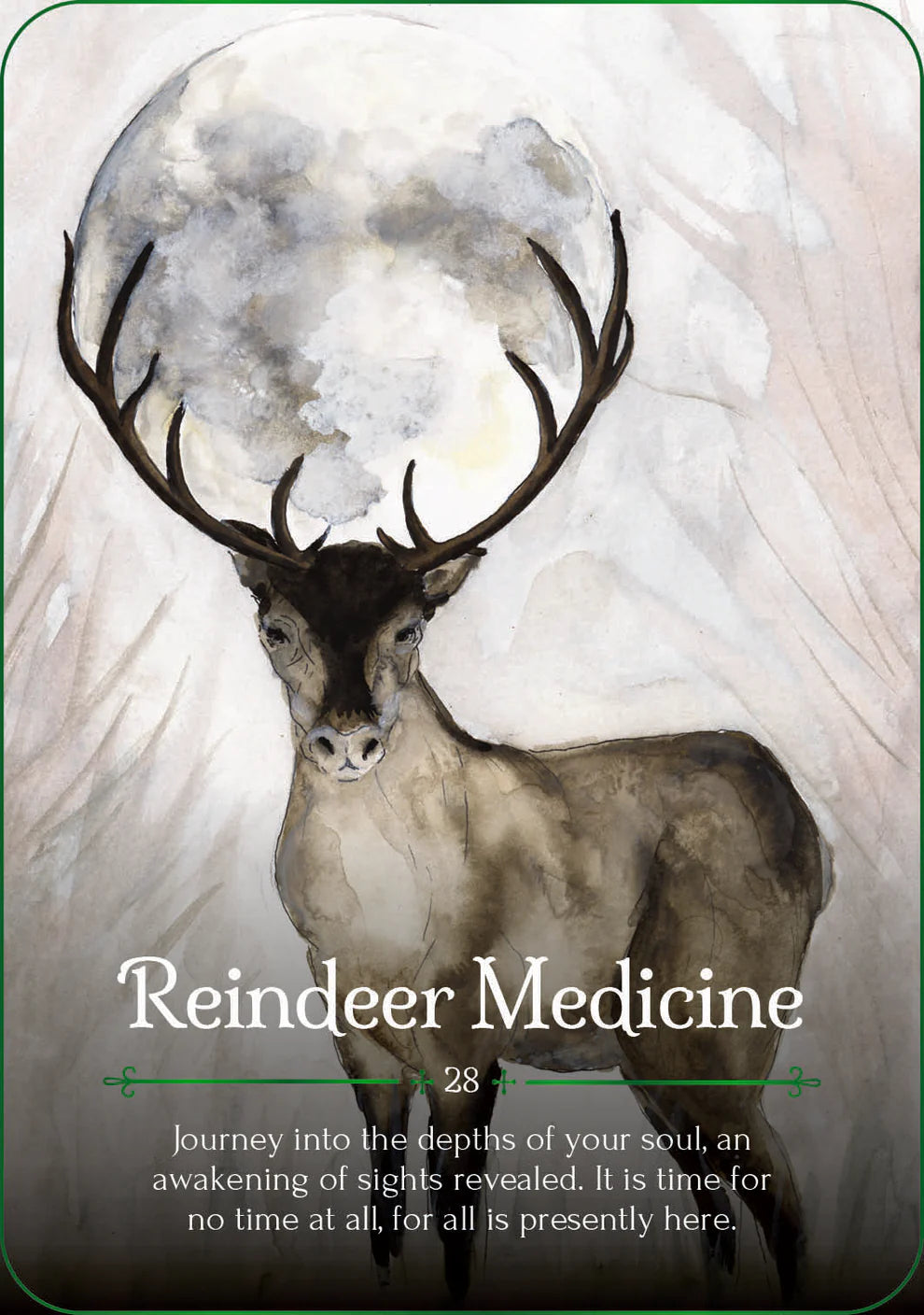Reindeer with large antlers against a snowy background with text 'Reindeer Medicine' and quote.