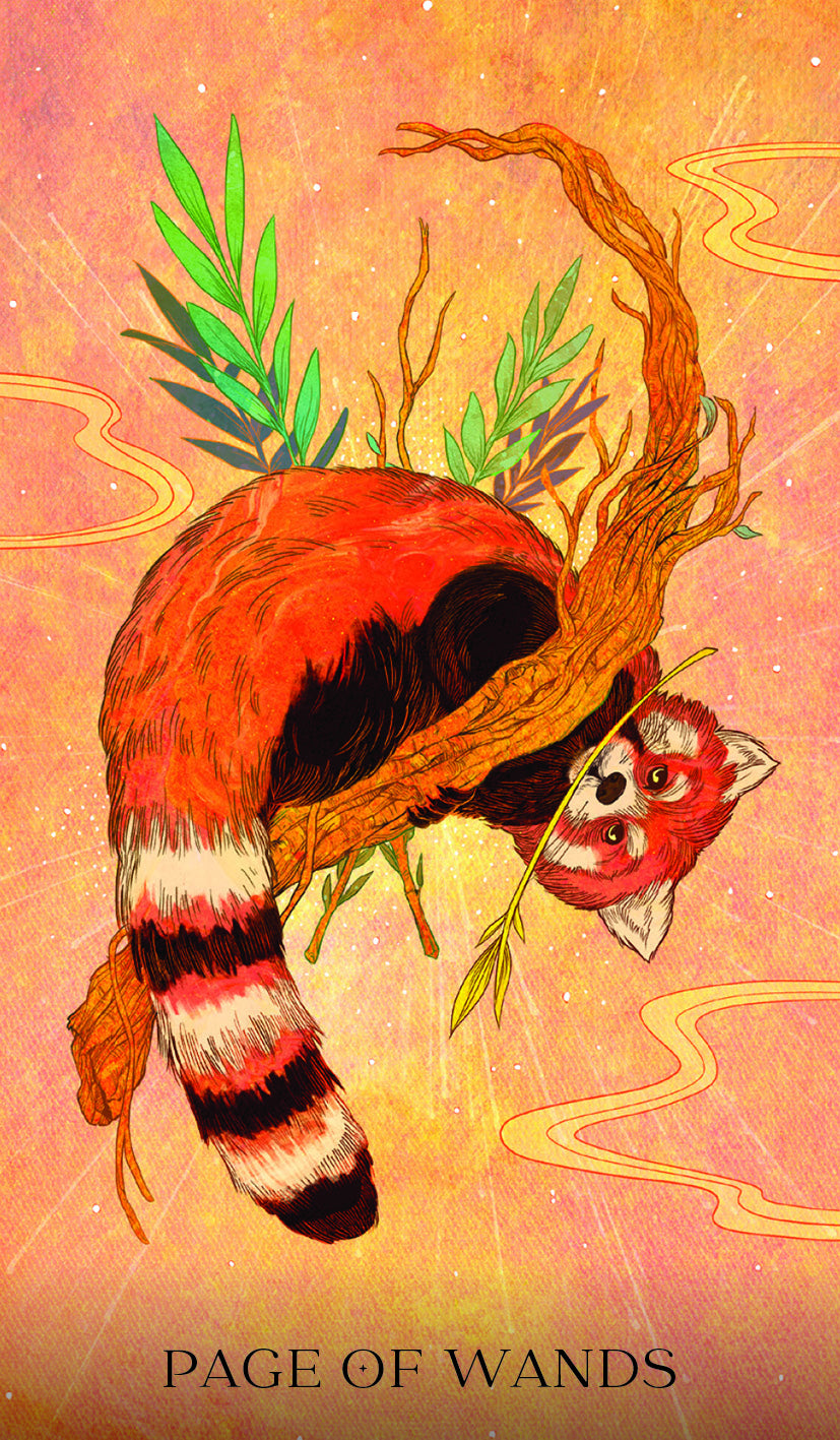 Illustration of a red panda with wands and leaves on a pink background, labeled 'Page of Wands'.