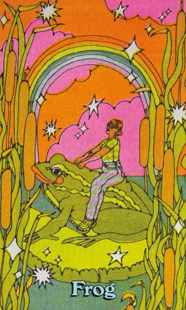 Colorful illustration of a child riding a frog with a rainbow and stars in the background.
