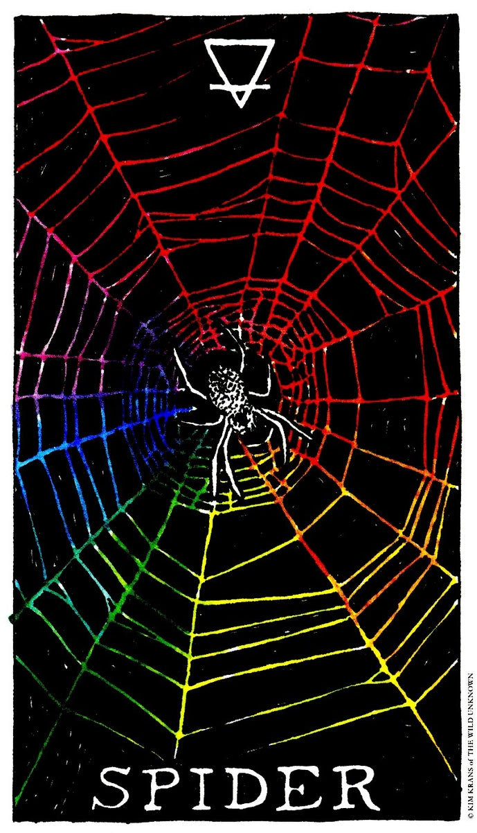 Colorful spider web with a spider in the center on a black background, featuring the word 'SPIDER'.