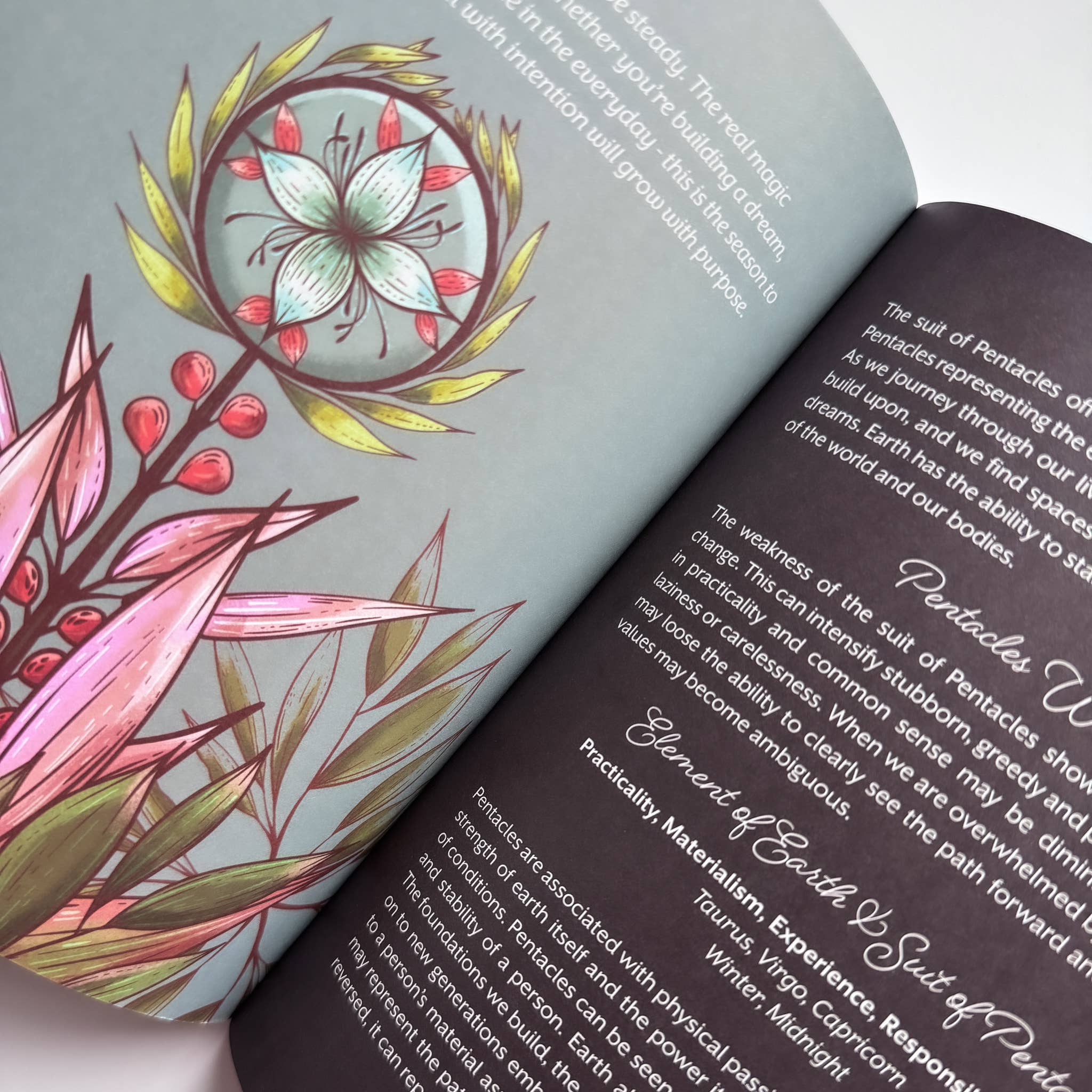 An open book showing two interior pages with printed text and a large floral illustration. The left page has a pale blue-gray background with pink, green, and yellow botanical artwork, and the right page is dark charcoal with black text.