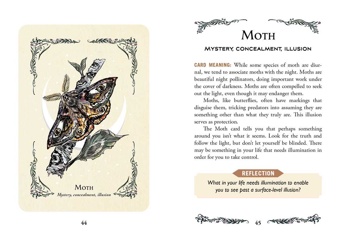 Moth card from a tarot or oracle deck with card meaning text.