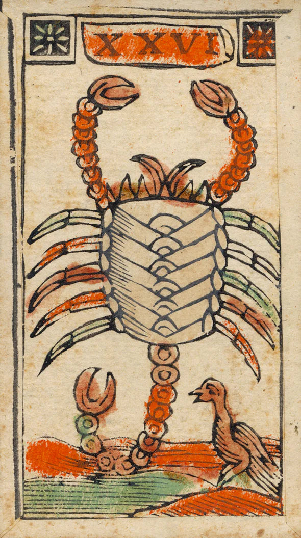 Illustration of a scorpion with a stylized background